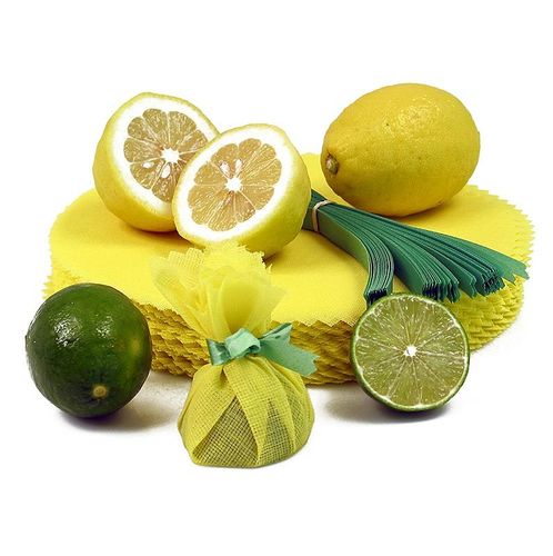 The Original Lemon Wraps - Zitronenserviertuch, gelb, mit grüner Krawatte, 100 St