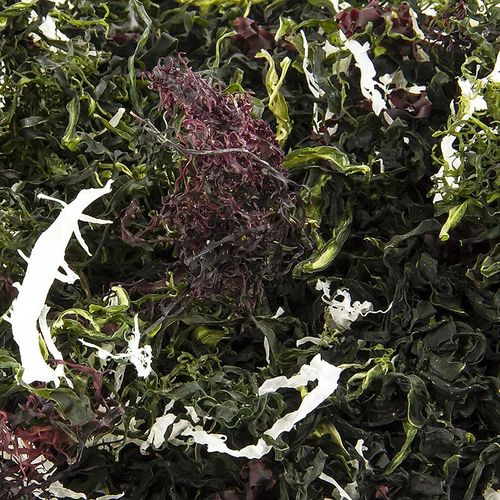 Kaiso Dried Seaweed Mix, Seetang getrocknet, 6 Algensorten für Kaiso Salat, Nihon Shokken, 100 g